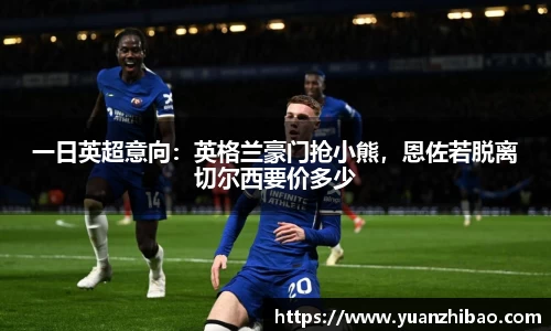 一日英超意向：英格兰豪门抢小熊，恩佐若脱离切尔西要价多少